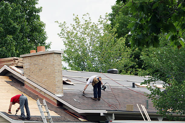 Best Storm Damage Roof Repair  in Chesapeake Beach, MD